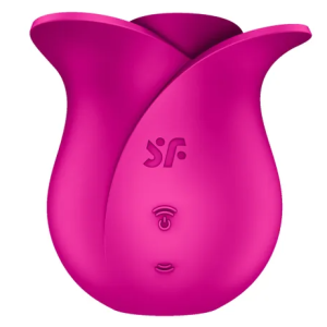 SATISFYER PRO 2 MODERN BLOSSOM